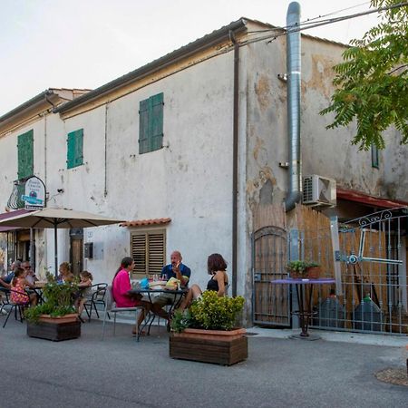 Villa Di Campagna 10 Posti Con Piscina Privata Castellina Marittima Zewnętrze zdjęcie